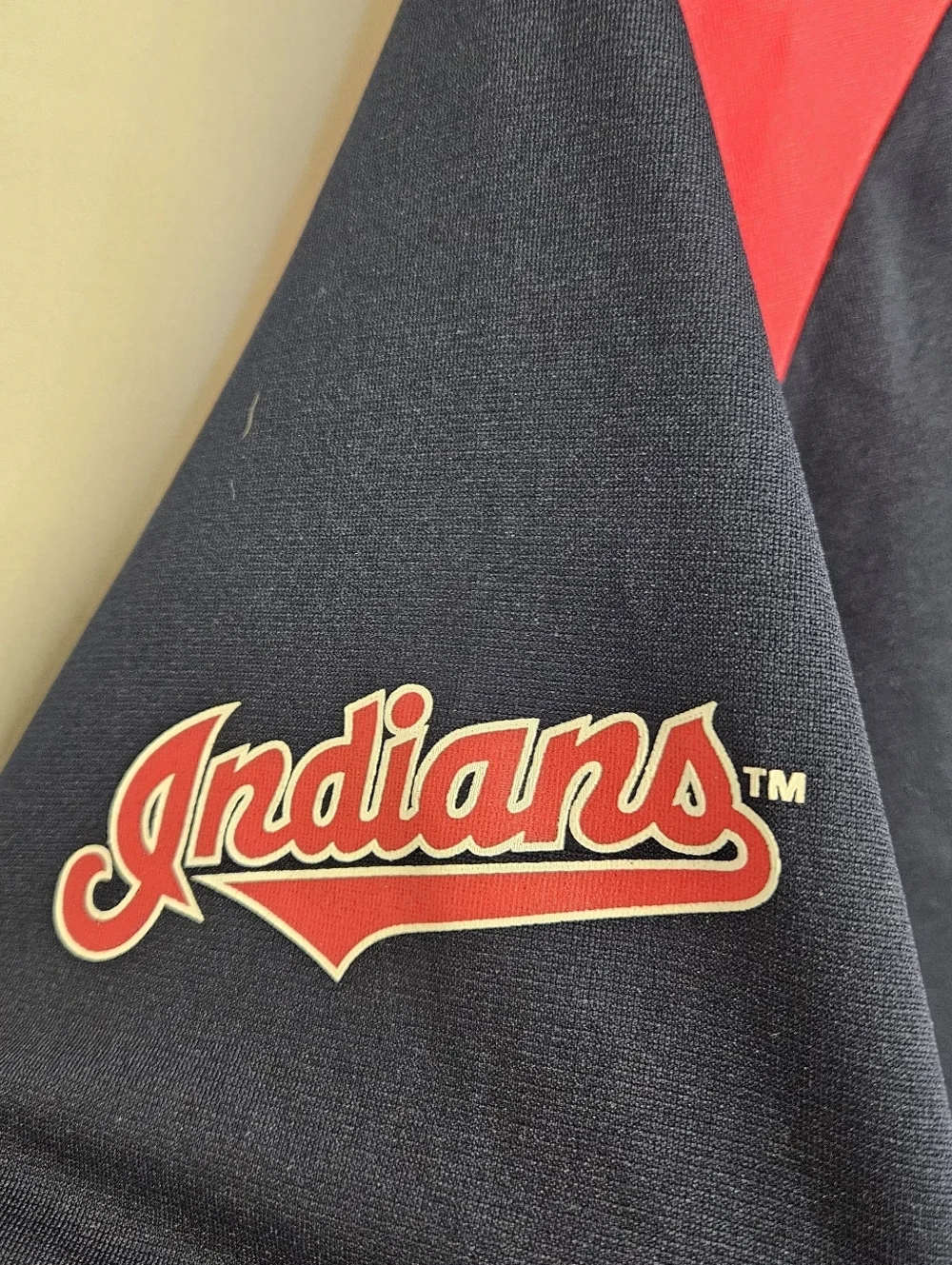 CLEVELAND INDIANS Adidas Carlos CABRERA SIZE LARGE (14-16)JERSEY